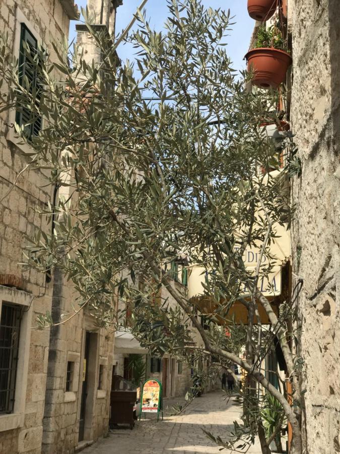 Bozana Trogir
